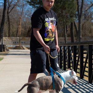 Meet your Posher, Justin